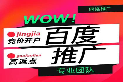 解析SEM竞价代运营公司的效果：ROI大幅提升的秘诀